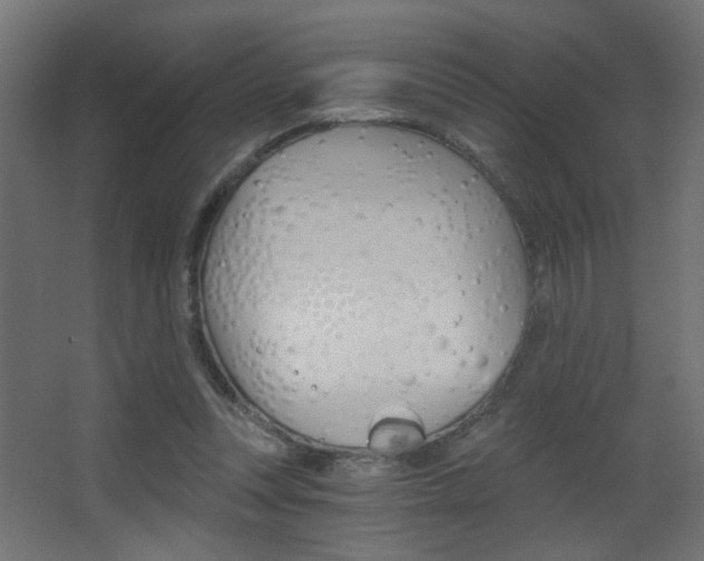 X0000068300351200604211016