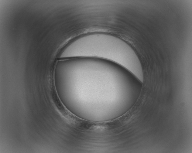 X0000068300352200604211016