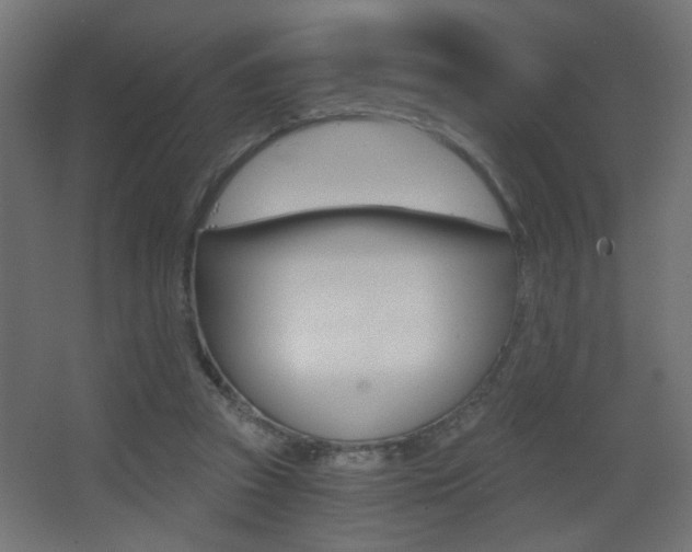 X0000068300353200604211016