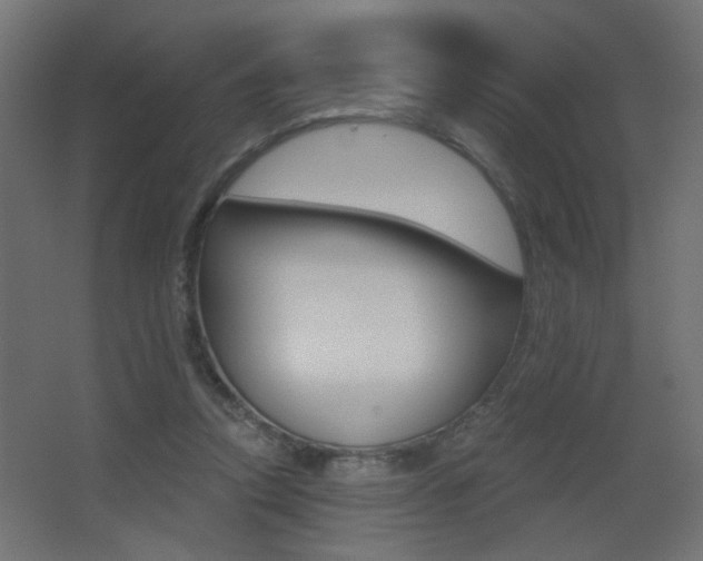 X0000068300354200604211016