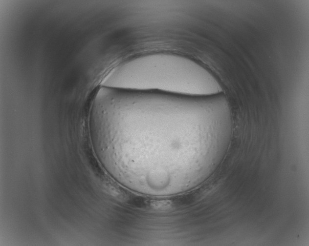 X0000068300355200604211016