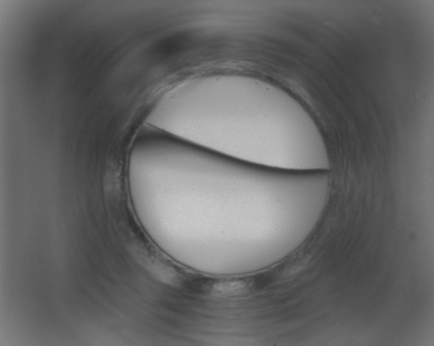X0000068300357200604211017