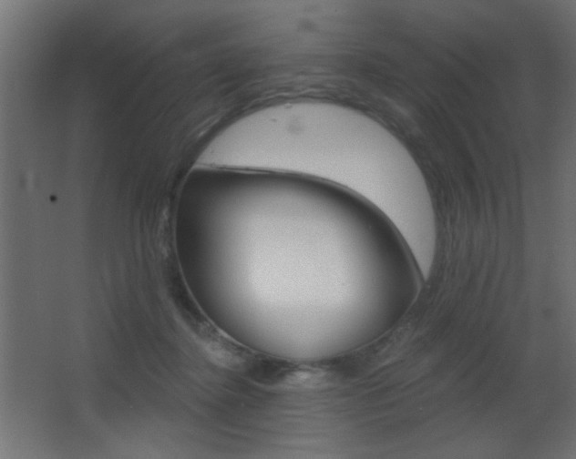 X0000068300364200604211017