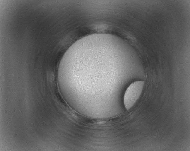 X0000068300365200604211017