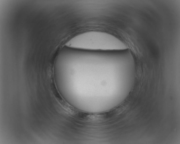 X0000068300367200604211017