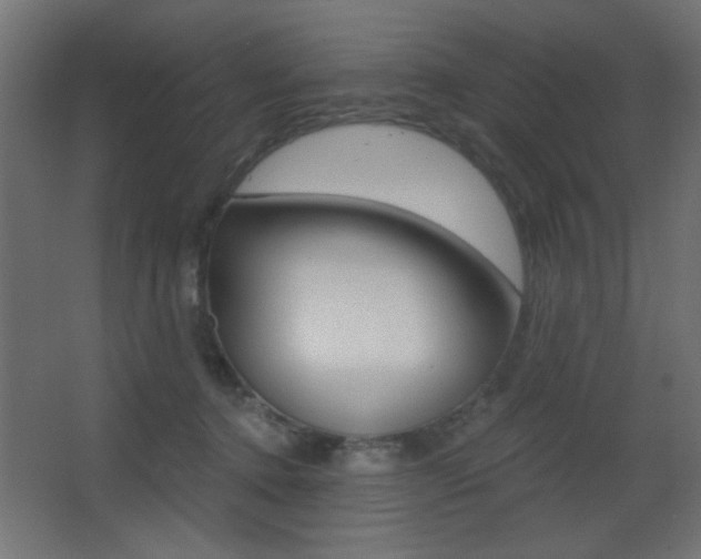 X0000068300368200604211017