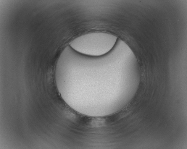 X0000068300369200604211017