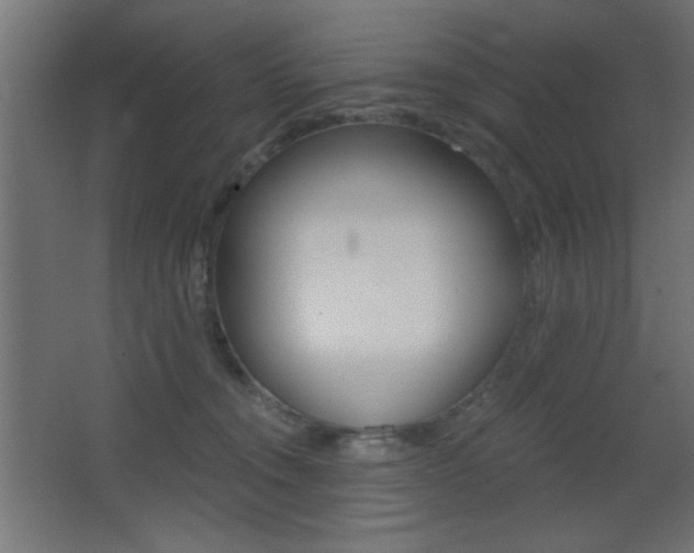 X0000068300372200604211017