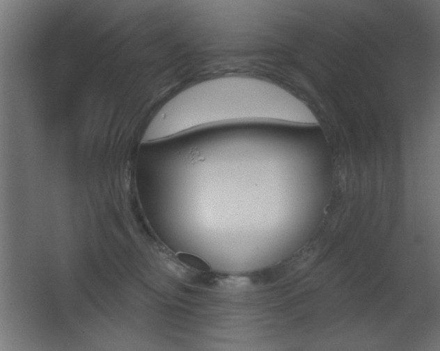 X0000068300374200604211017