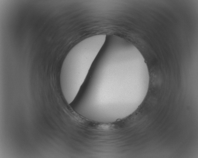 X0000068300375200604211017