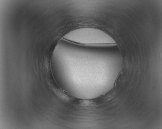 X0000068300380200604211017