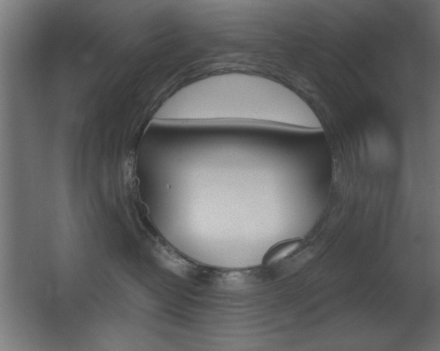 X0000068300382200604211017