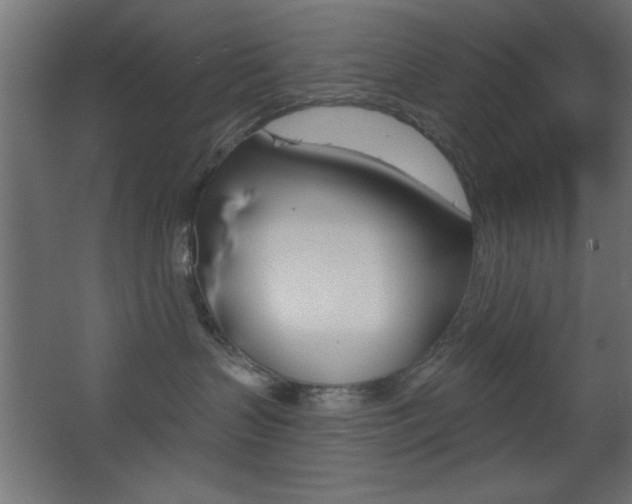 X0000068300383200604211017