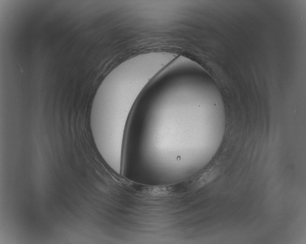 X0000068300384200604211017