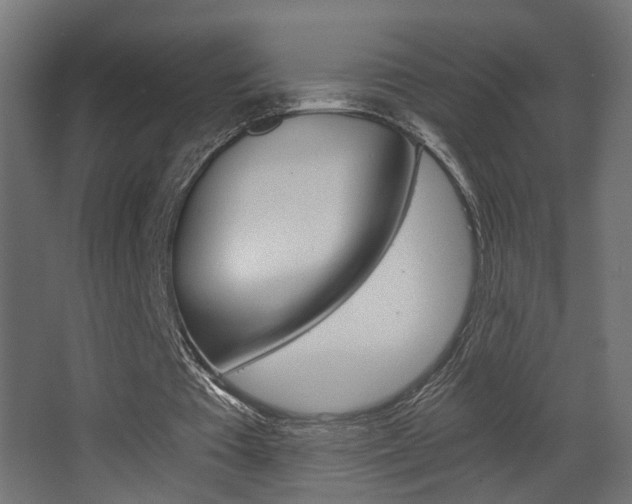 X0000068300385200604211016