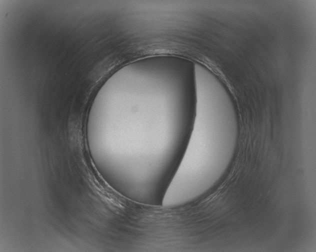 X0000068300386200604211016