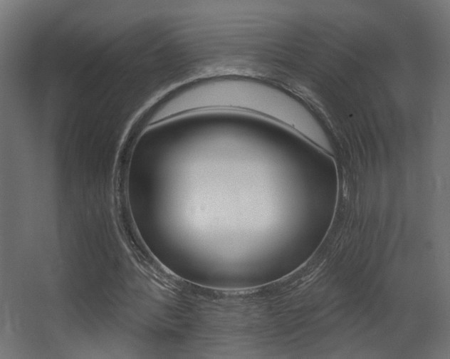 X0000068300388200604211016