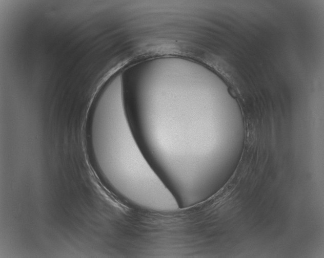 X0000068300390200604211016