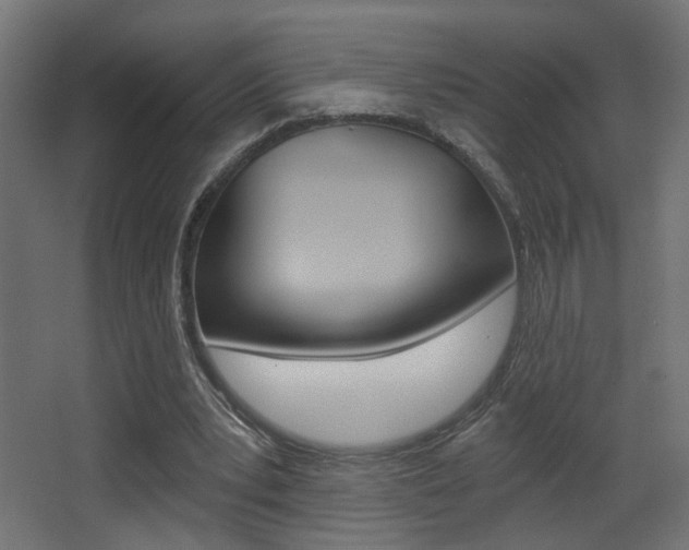 X0000068300391200604211016