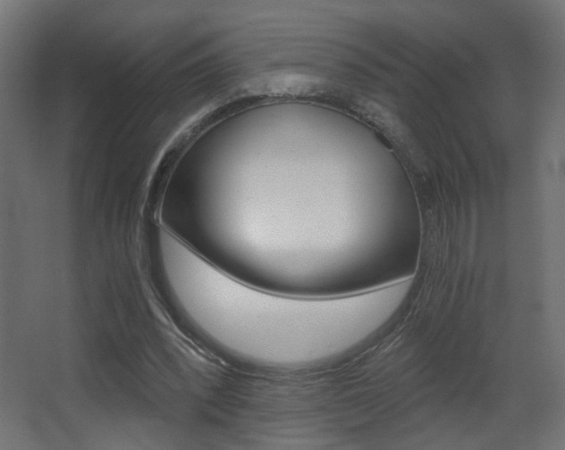 X0000068300392200604211016
