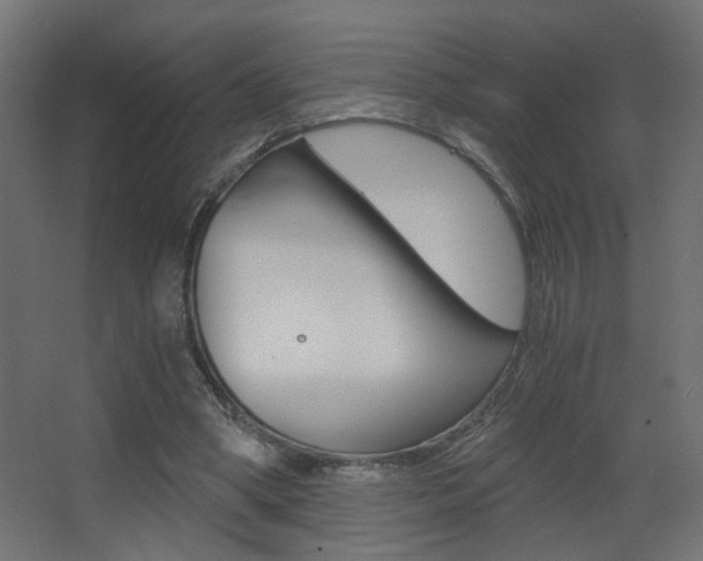 X0000068300394200604211016