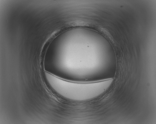 X0000068300395200604211016