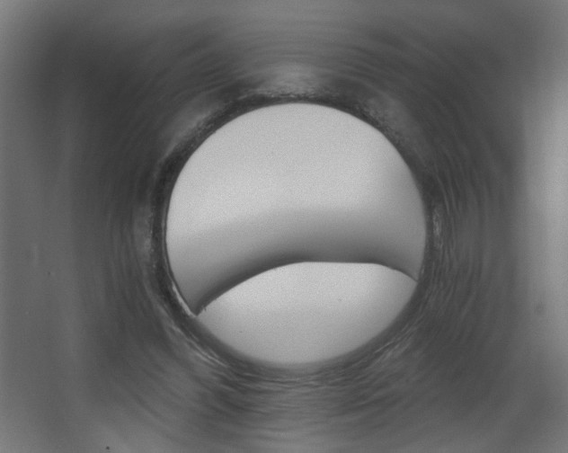 X0000068300396200604211016