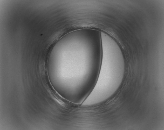 X0000068300397200604211016