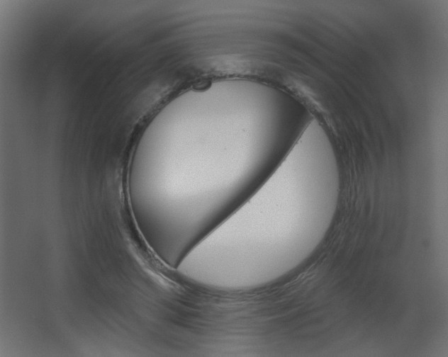 X0000068300398200604211016