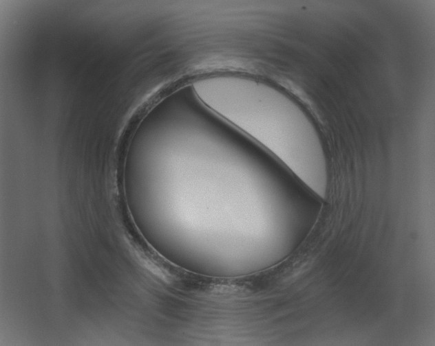 X0000068300399200604211016