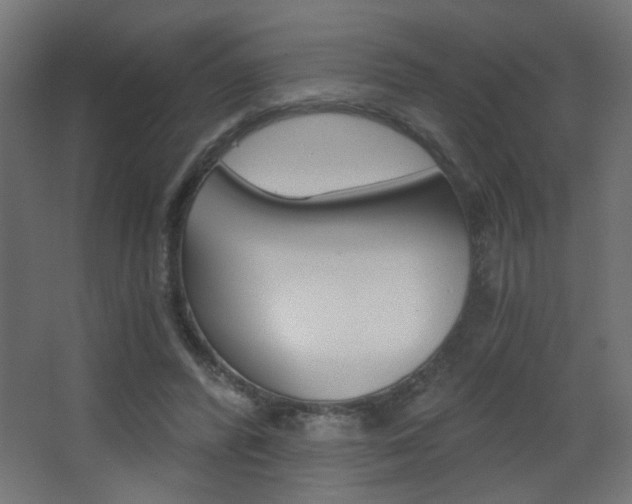 X0000068300400200604211016