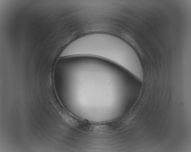X0000068300401200604211016