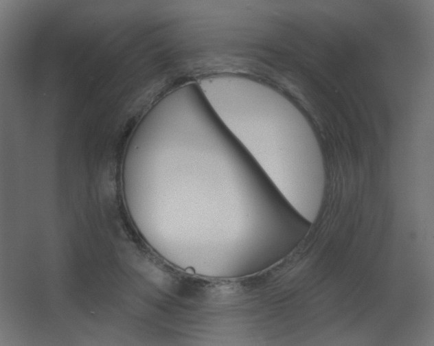 X0000068300402200604211016