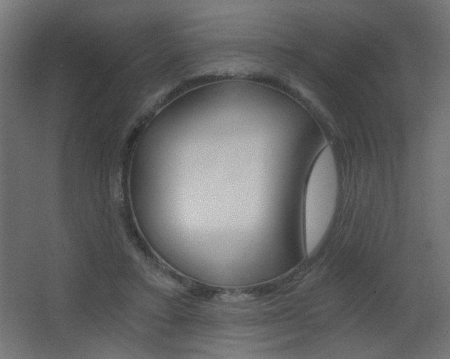 X0000068300403200604211016