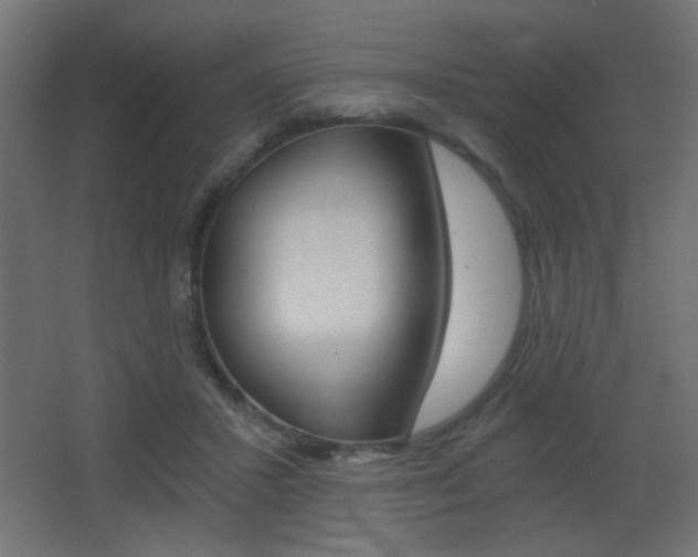 X0000068300407200604211016