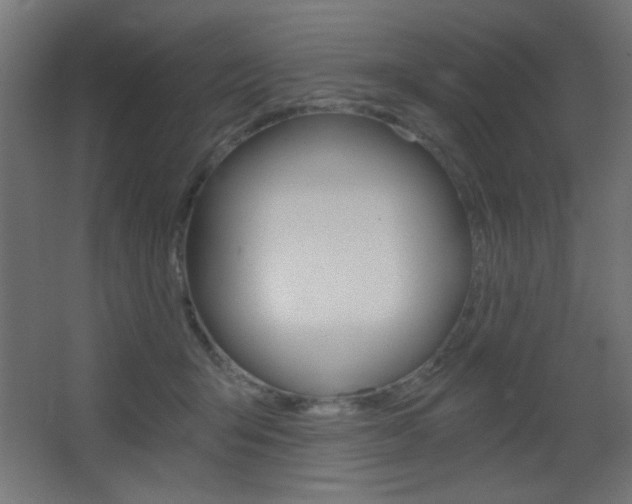 X0000068300415200604211016