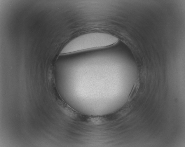 X0000068300417200604211016