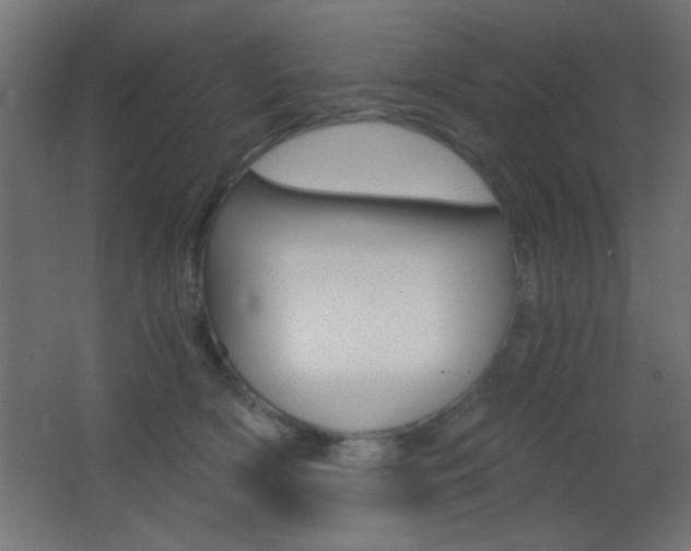 X0000068300418200604211016