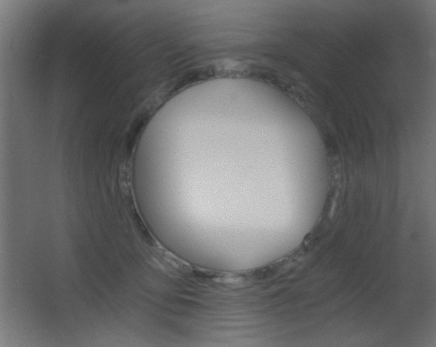 X0000068300419200604211016