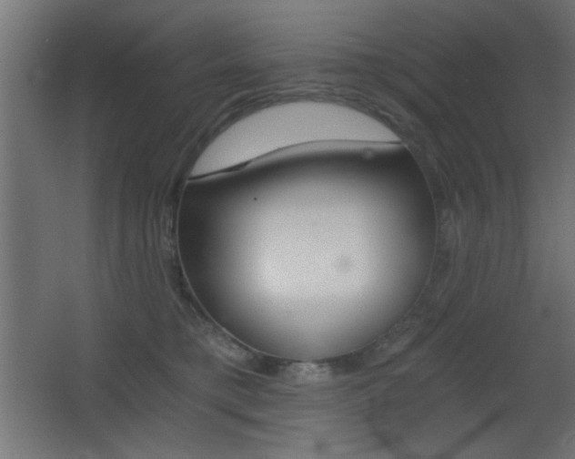 X0000068300421200604211016