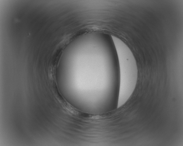 X0000068300423200604211016
