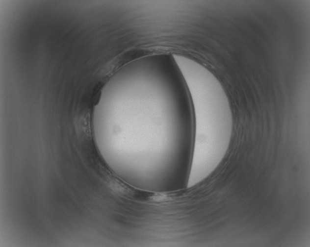 X0000068300425200604211015