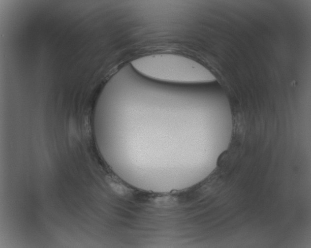 X0000068300426200604211015
