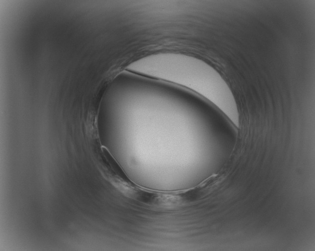 X0000068300429200604211015