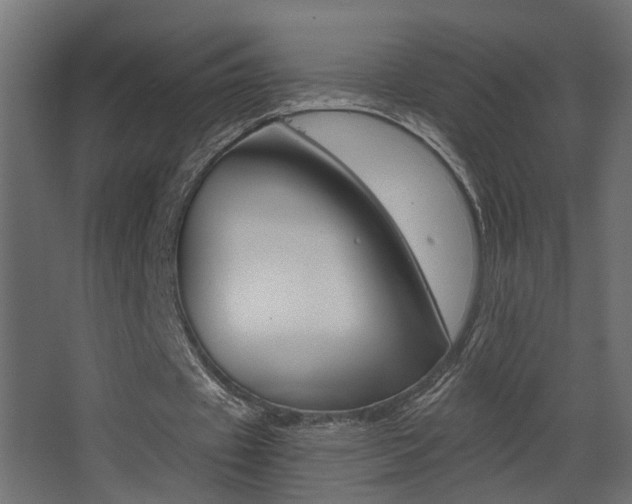 X0000068300433200604211015