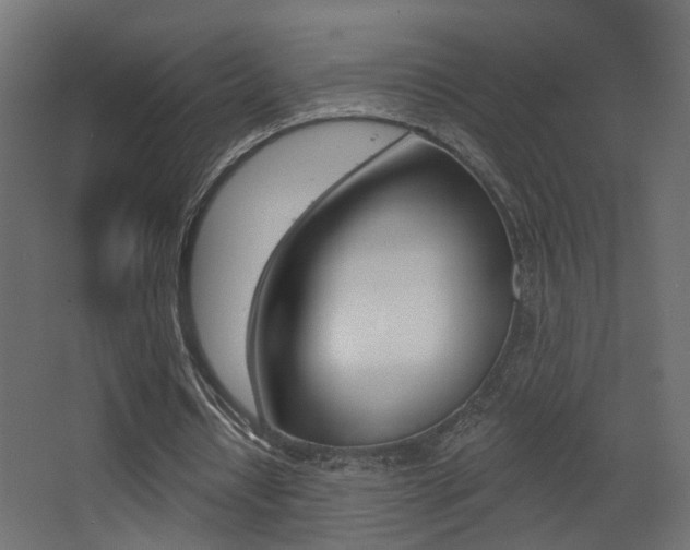 X0000068300434200604211015