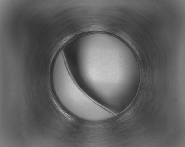 X0000068300437200604211015