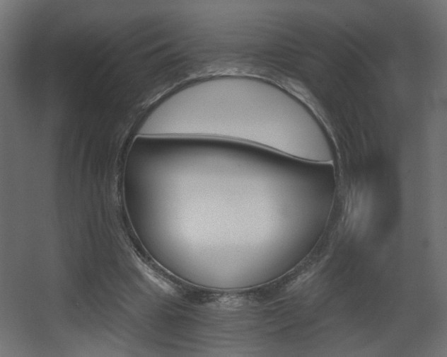 X0000068300441200604211015