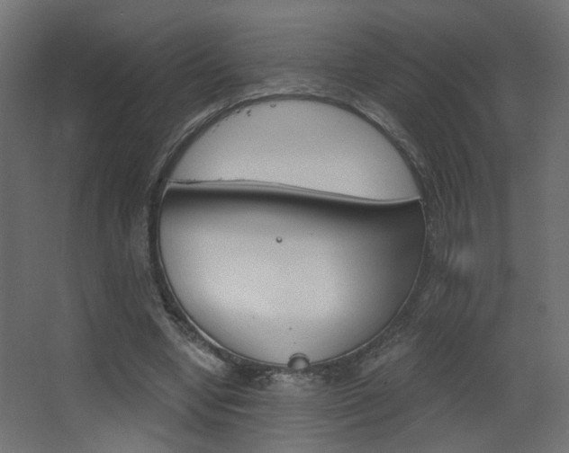 X0000068300442200604211015