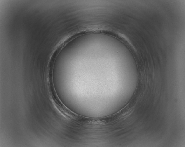 X0000068300443200604211015